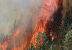 yosemite-rim-forest-fire