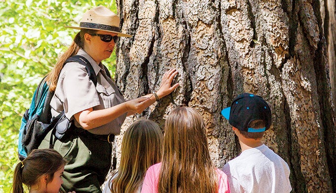 YT-junior-ranger_GrantOrdelheide_680 Yosemite Junior Ranger Walk. Photo by Grant Ordelheide