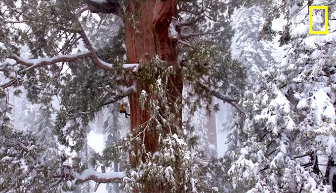 Sequoia-Winter-Video-2_NatlGeographic_680 Sequoia Winter Video Shoot by National Geographic on YouTube