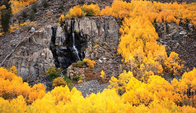 Autumn in Bishop Autumn colors in Bishop County.