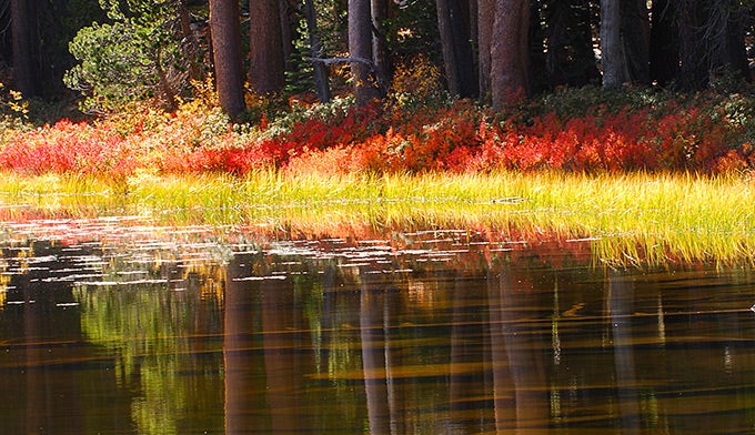 Yosemite-Pond-Autumn_DP_680 Merced River on an autumn day
