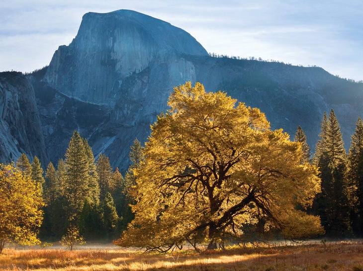 Cooks Meadow with a view of Half Dome in autumn.