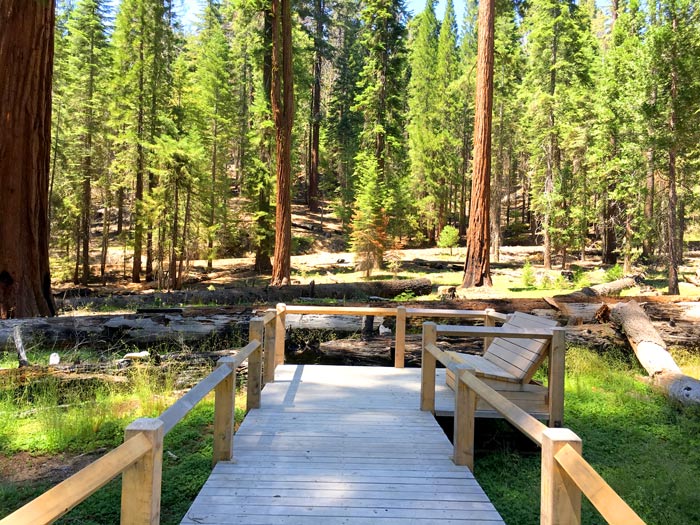 YO-MariposaGrove-Boardwalks_YOConser__RominaPasten_700 New boardwalks built in the Mariposa Grove of Giant Sequoias as part of a multiyear restoration project supported by Yosemite Conservancy donors help…