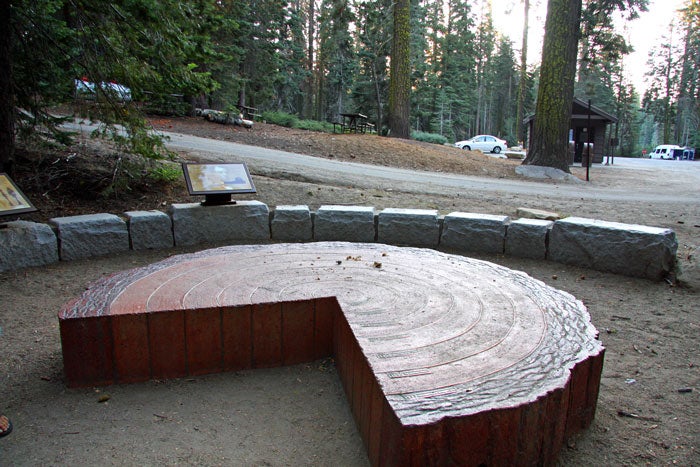YO-TulumneGroveSequoias-logcutaway_FlickrRonnieMacdonald_700 A cutaway of a tree shows the rings and years in the Tuolumne Grove of Sequoias in Yosemite