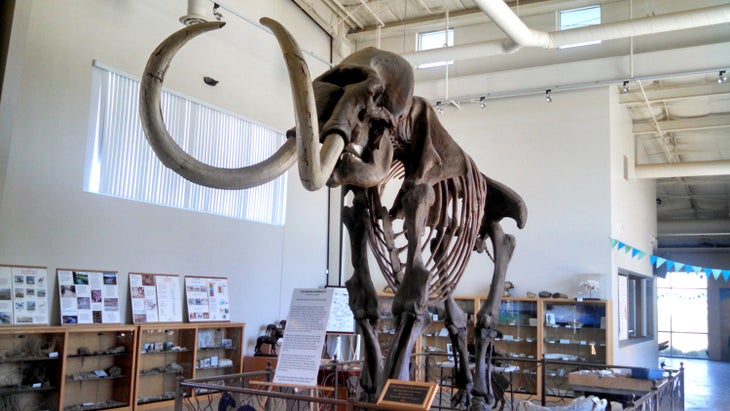 Fossil Discovery Center in Madera County, Calif.