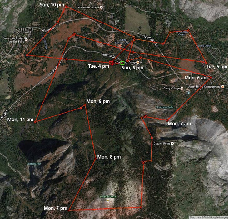 YT-Bear-GPS-Map_NPS_800 GPS tracking map of bears in Yosemite. Image courtesy of NPS