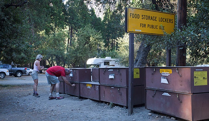 YT-Bearproof-Lockers-Containers_GrantOrdelheide_680 Bearproof food storage lockers in Yosemite. Photo by Grant Ordelheide