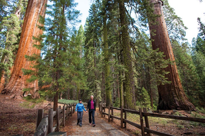 SequoiaTourismCouncil-KingsCanyon-GrantGrove-Couple_courtesyVisitVisalia_700 Grant Grove of giant sequoia trees in Kings Canyon National Park near Visalia, California