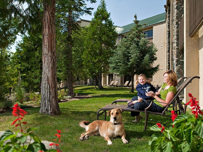 TenayaLodge-Dog_courtesy_700 Dog-friendly rooms and cabins at Tenaya Lodge
