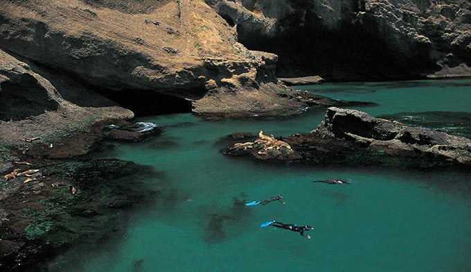 Island Packers Snorkeling at Landings Cove in Santa Barbara Island