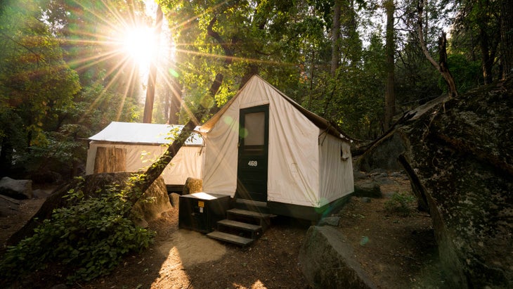Curry Village tent cabins in Yosemite National Park