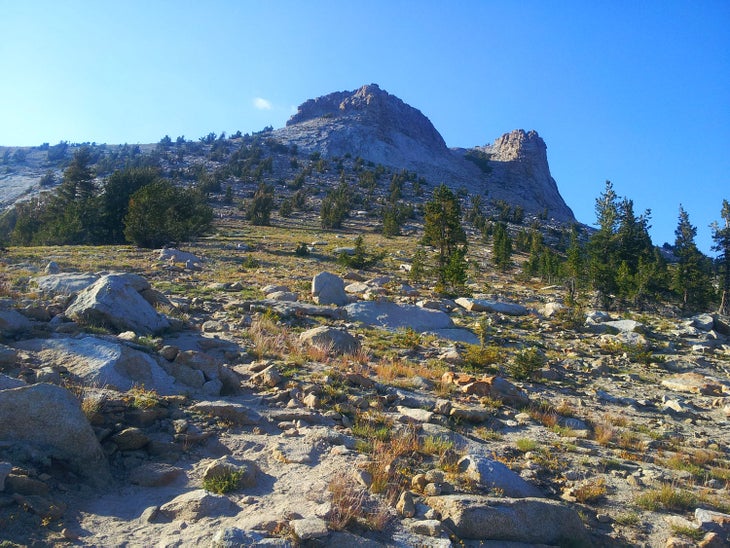 Looking up at Mt Hoffman from the trail