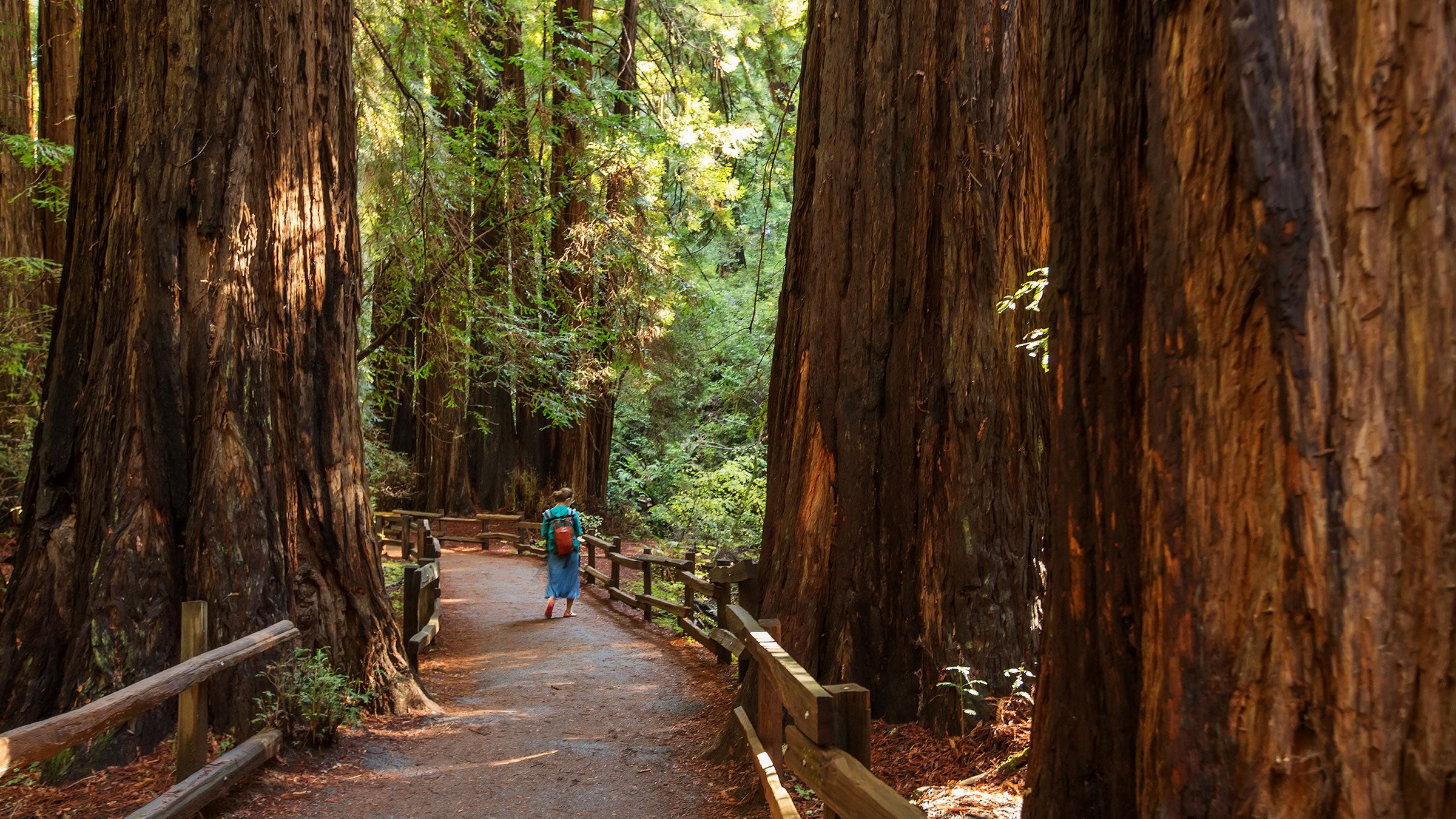 Muir Woods National Monument